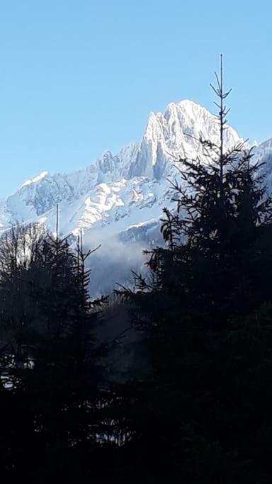 Chalet Les Charmilles - Vallee De Chamonix - 5 Chambres レ・ズッシュ エクステリア 写真