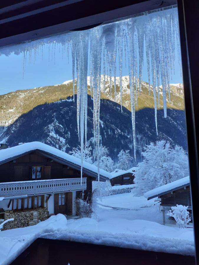 Chalet Les Charmilles - Vallee De Chamonix - 5 Chambres レ・ズッシュ エクステリア 写真