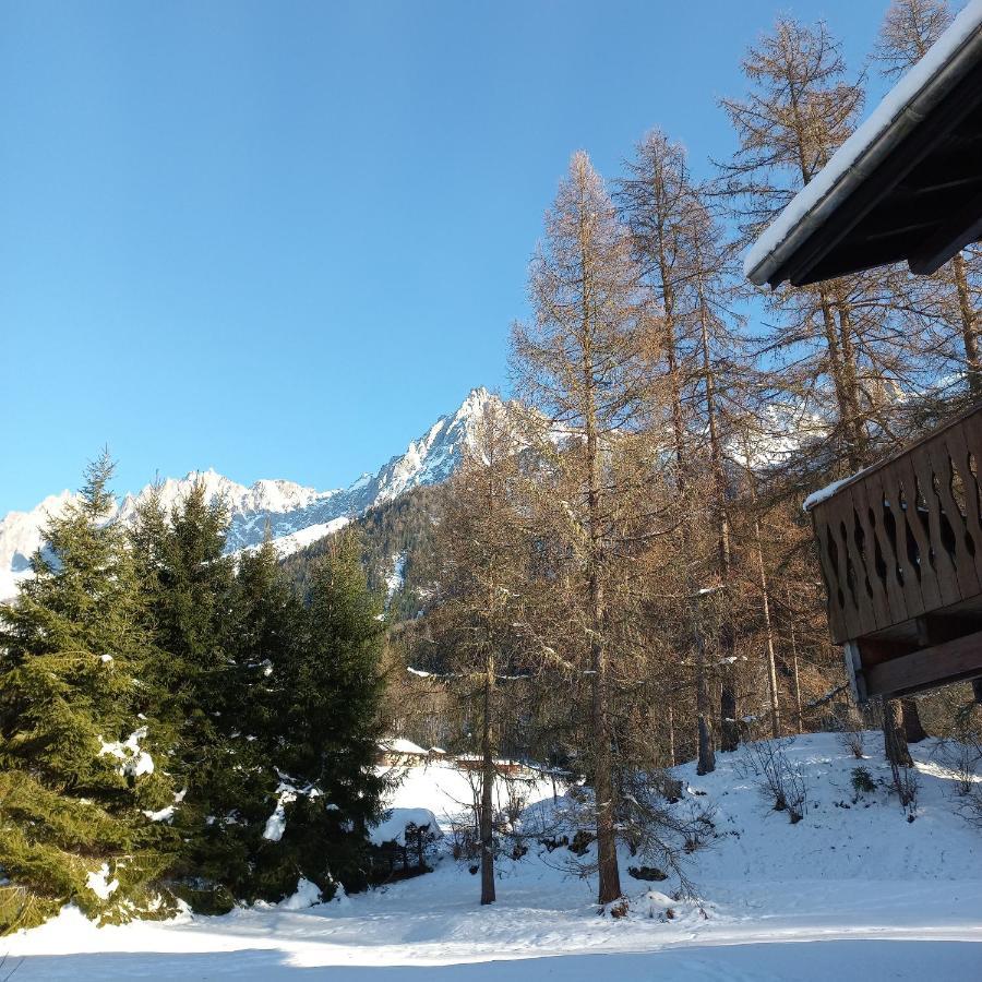 Chalet Les Charmilles - Vallee De Chamonix - 5 Chambres レ・ズッシュ エクステリア 写真