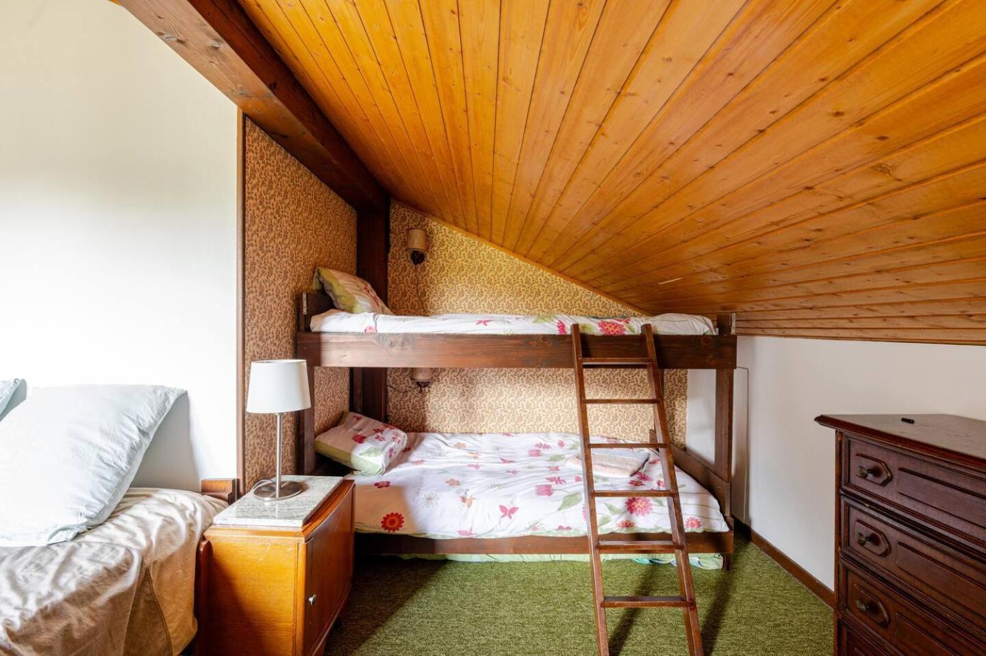 Chalet Les Charmilles - Vallee De Chamonix - 5 Chambres レ・ズッシュ エクステリア 写真